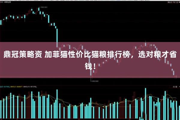 鼎冠策略资 加菲猫性价比猫粮排行榜，选对粮才省钱！