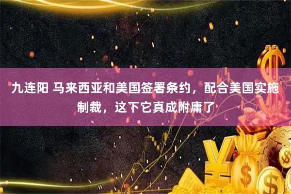 九连阳 马来西亚和美国签署条约,配合美国实施制裁,这下它真成附庸了