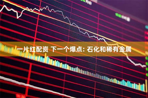 一片红配资 下一个爆点: 石化和稀有金属